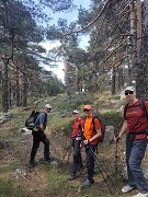 Ultima Ruta