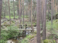 Ultima Ruta